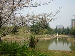 -堤角公园