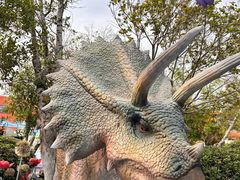 -海合安武汉极地海洋公园