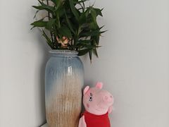 -乐天心晴·专业心理咨询(静安店)