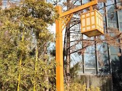 -悦隆庄温泉度假酒店