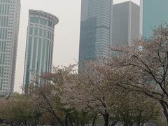 -西北湖绿化广场