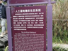 -成都市活水公园
