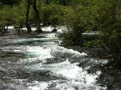 -九寨沟-树正沟