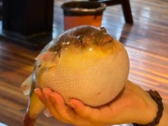 -永安鱼庄·镇江菜(丁卯店)