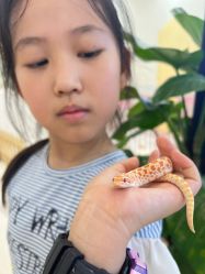 -Moni星球萌宠·小马宝莉·灵蛇·高端高阶全萌宠互动体验俱乐部(红豆国际广场店)