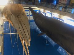 -上海海洋大学鱼文化博物馆(军工路校区)