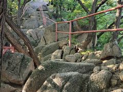 -吉林市朱雀山国家森林公园