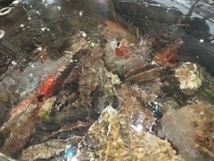 -大锅强·蒸海鲜青岛菜(吾悦广场店)