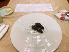 -玉芝兰(长发街店)