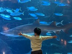 -成都浩海立方海洋公园