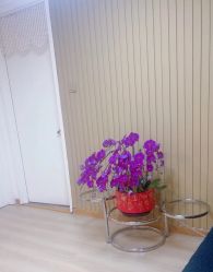 -小梨·OndaPro·专业脱毛连锁机构