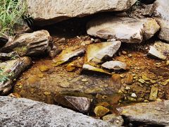 -黑龙潭风景区
