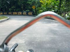 -圣淘沙天际线斜坡滑车