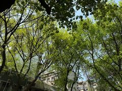-炳胜私厨(万象前海店)