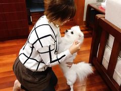 -1013 PET SHOP 宠物商店(近铁城市广场店)