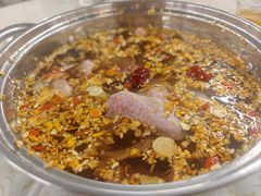 -百利鸽王(紫薇路店)