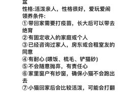 -美迦爱动物医院·夜诊(朝阳路诊疗中心)