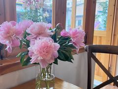 -In Cafe隐食研室