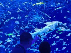 -太平洋海底世界