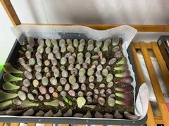 -中环花鸟鱼虫市场