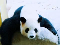 -杭州野生动物世界
