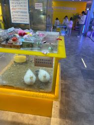 -神奇动物撸宠馆·羊驼·小浣熊·异宠(豫园店)
