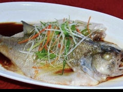 清蒸海鲈鱼-麒麟山景大酒店岭南汇海鲜酒家(沙井店)