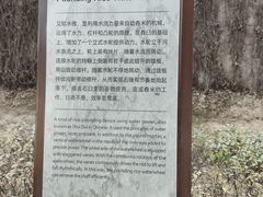 -水车博览园