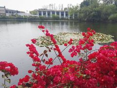 景点-惠州西湖