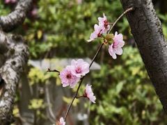 -静安雕塑公园