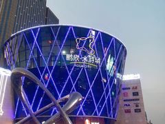-鹏欣水游城