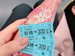 -台场海滨公园船码头