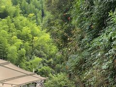 -将军关探险漂流