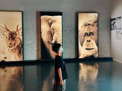 -中国湿地博物馆