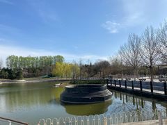 -大望京公园