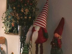 -Uncle Kosto科斯托·中东菜