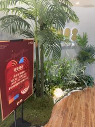 -八佰伴8008星级形象店