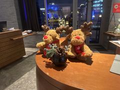 -阿纳迪酒店·秘境西餐厅