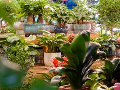 -双季花艺园艺市场(浦东店)