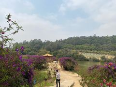 -南国桃园旅游度假区