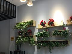 -土桥手掌鸡·26年灌县老味道(都江堰店)