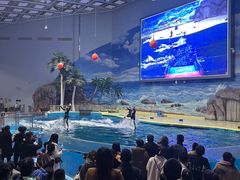 -福州罗源湾海洋世界旅游区