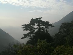 -东天目山风景区