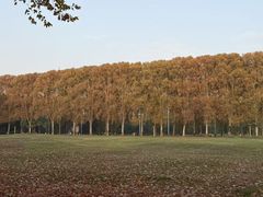 -河南省黄河迎宾馆