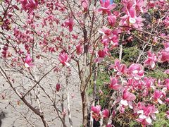 -东华门大街小区