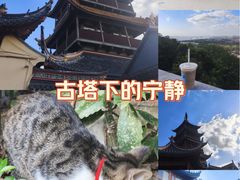 -狼山风景名胜区