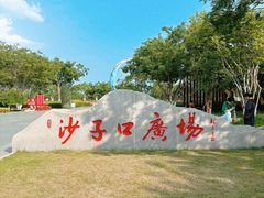 -单家老院·院子里的青岛菜(沙子口店)
