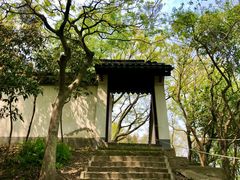 -上海佘山国家森林公园天马山园