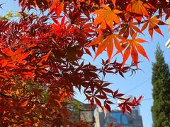 -贵阳北天主教堂