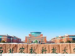-中央民族大学